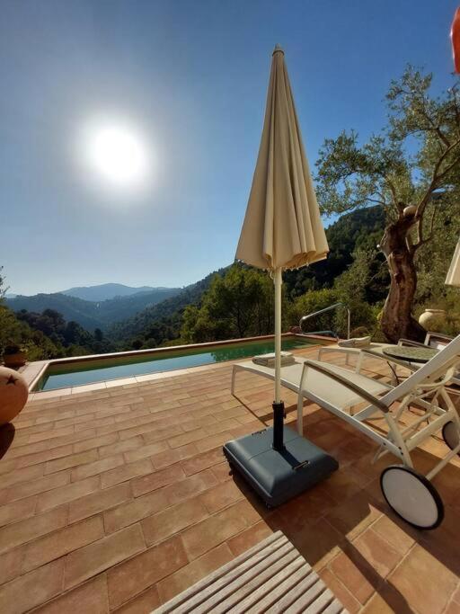 een patio met een stoel, een parasol en een zwembad bij Susurros de Montaña in Frigiliana
