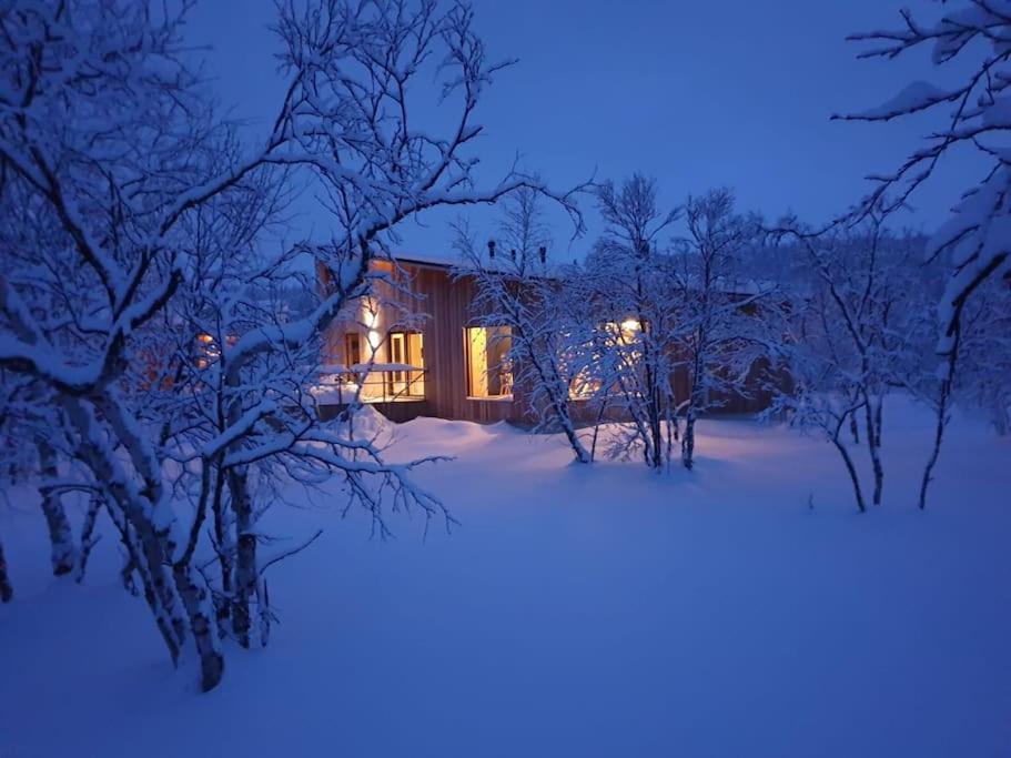 dom w śniegu w nocy w obiekcie Villa Aitti w mieście Utsjoki