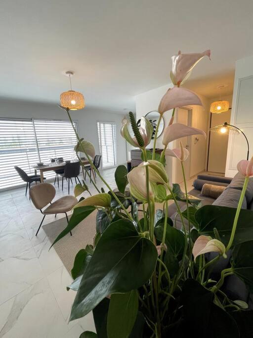 Magnifique appartement à la frontière suisse – photo 10