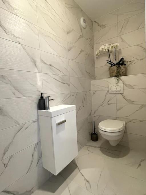 Magnifique appartement à la frontière suisse – photo 8