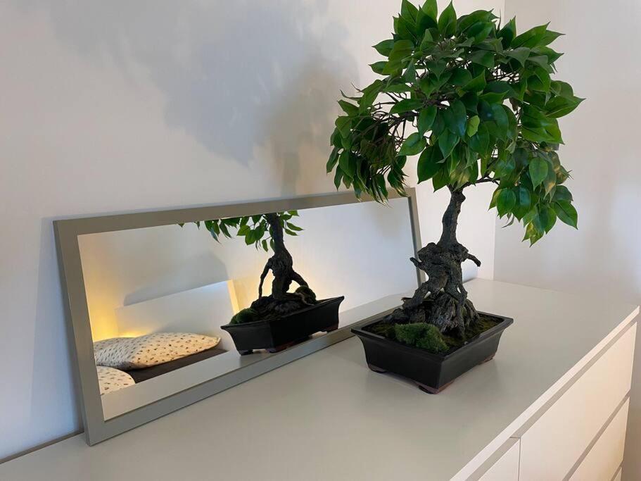 Magnifique appartement à la frontière suisse – photo 17