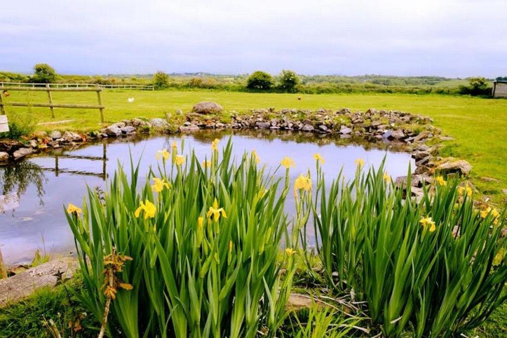 Duck House, (aktualisierte Preise für 2024)