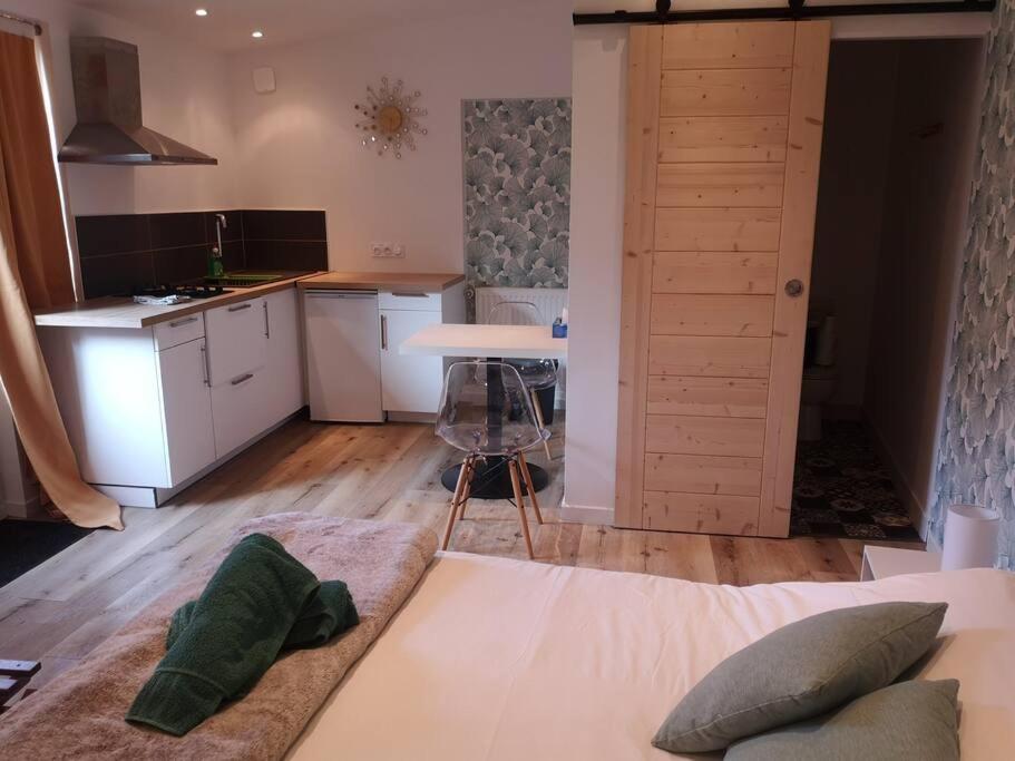 Una sala de estar con una cama y una cocina. en Studio neuf - accès SPA, SAUNA et Piscine Chauffée, en Saint-Vivien