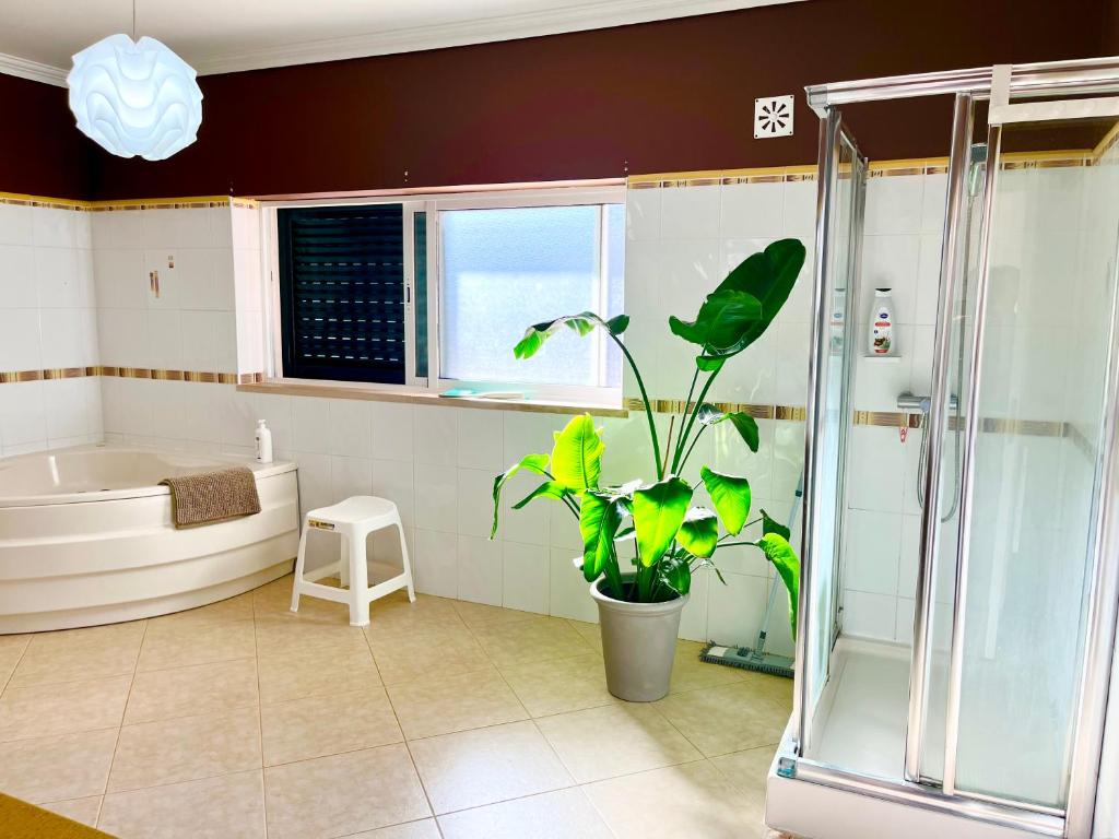 Koupelna v ubytování Providence Estate - Guest Suite