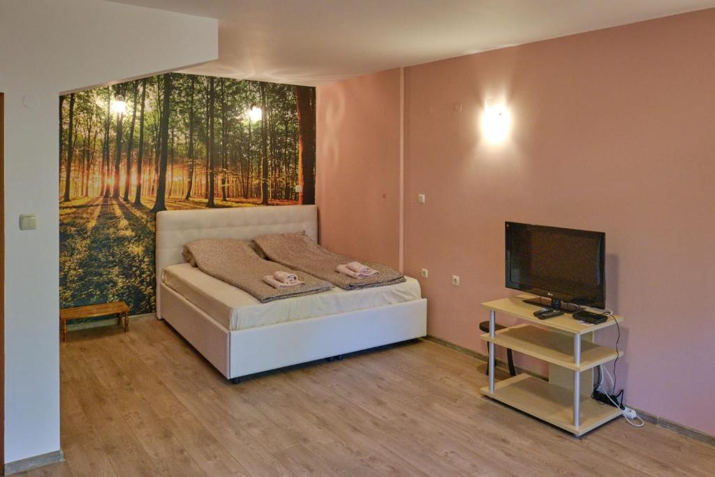 a bedroom with a bed and a tv and a mural at Mushrooms house in Pleven