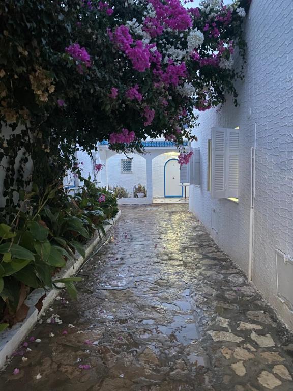 Fotografie z fotogalerie ubytování BUNGALOW El HOUDA v destinaci Hammamet