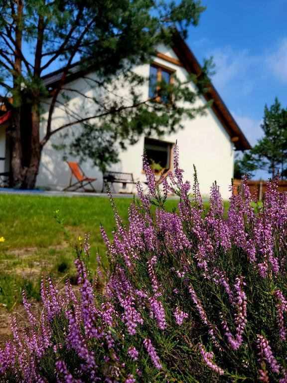 a house with purple flowers in front of it at Borsk Sielanka in Borsk
