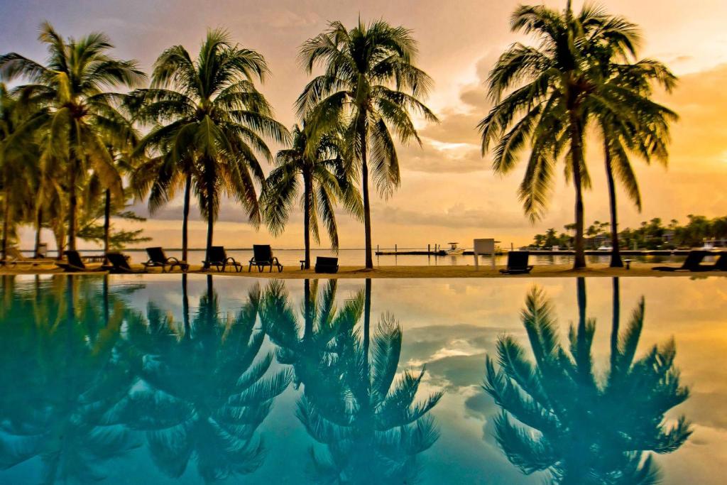 basen z palmami przed plażą w obiekcie Kaibo Sunset Condo w mieście Driftwood Village