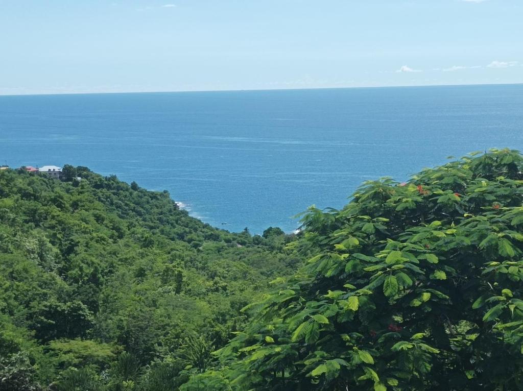 Φυσικό τοπίο κοντά σε αυτό το διαμέρισμα