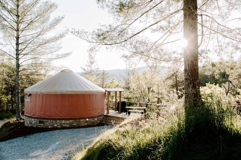 una yurta in mezzo a un campo con un albero di Santeetlah @ Sky Ridge Yurts a Bryson City