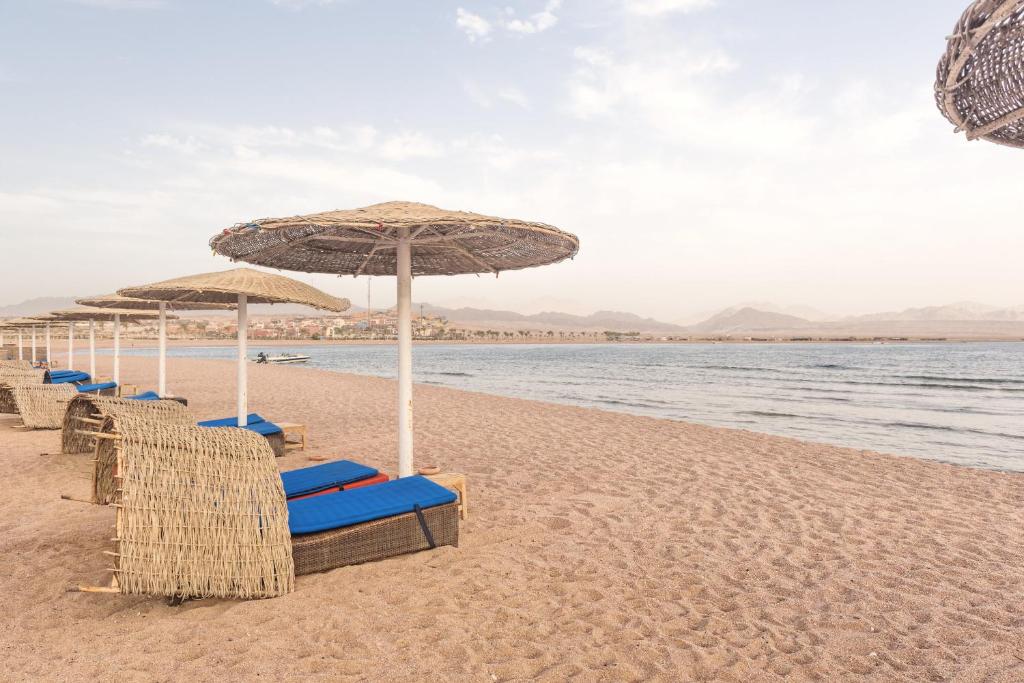 - une rangée de chaises et de parasols sur une plage dans l'établissement Barceló Tiran Sharm, à Charm el-Cheikh