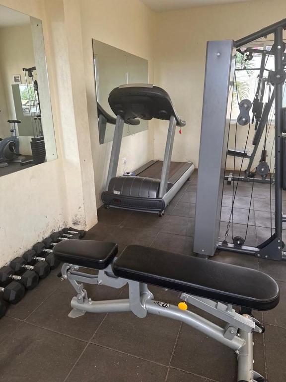 Fitness centrum a/nebo fitness zařízení v ubytování Hillsview Apartment
