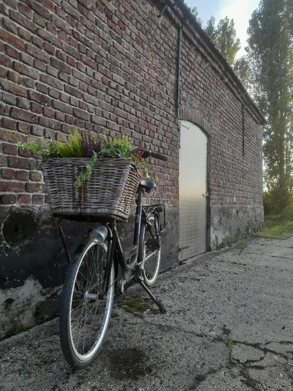 a bike with a basket parked next to a brick wall at In the old farmhouse in Assenede