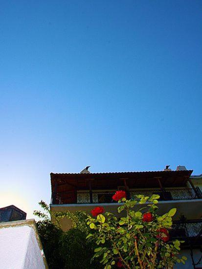 Fotografia z galérie ubytovania Guesthouse Rousis v destinácii Zagora