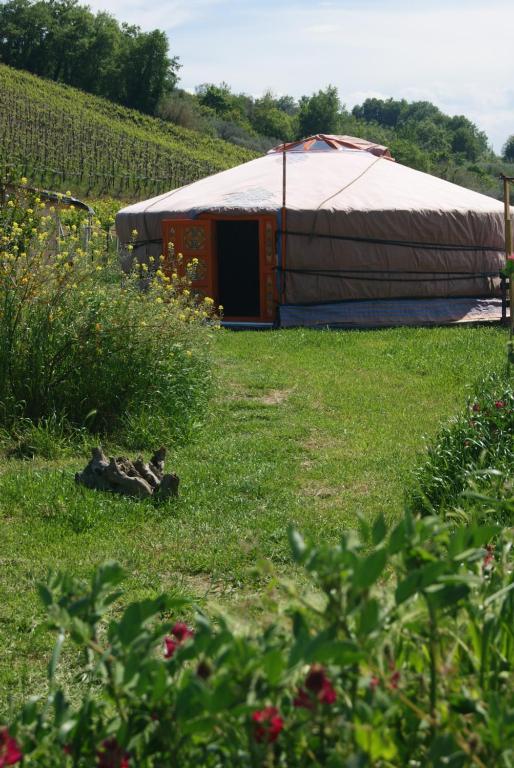 a yurt in the middle of a field of grass at Yurta Cloe in Torino di Sangro
