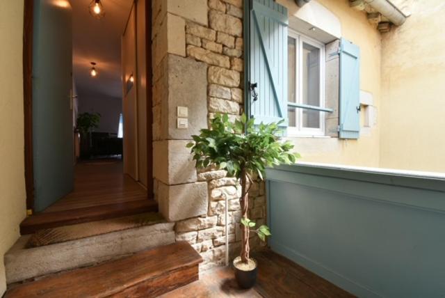 a hallway of a building with a plant next to a window at Appartement BELLO , ruelle au cœur de ville, arrivée en autonomie in Lons-le-Saunier