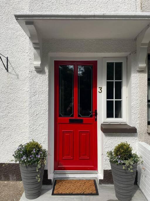 a red door on a white house with two plants at Millview Cottage in Castledawson