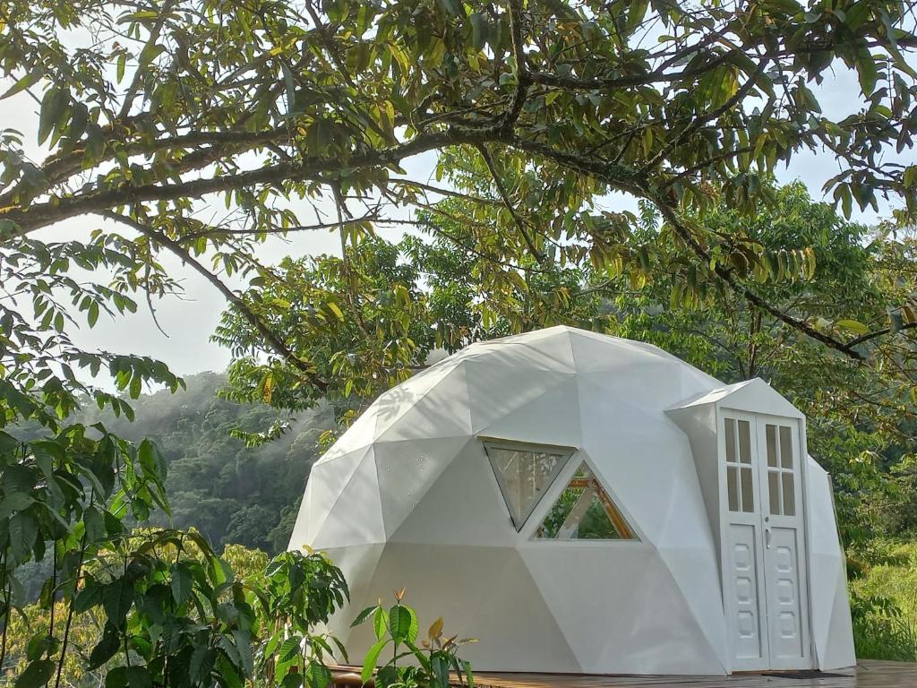 una casa blanca bajo un árbol en Glamping Rio Melcocho en Cocorná