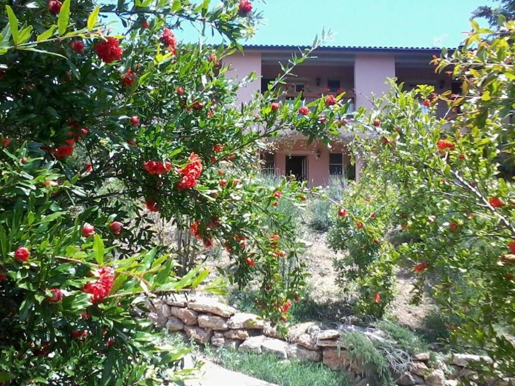 Zahrada ubytování Il Melograno Country House