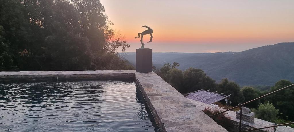 una estatua de una persona parada en el borde de una piscina en Domaine Colonna-Santini, Gite Piscine, Sauna, Spa, en Porri