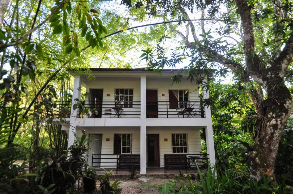 een wit huis midden tussen de bomen bij Samana tropical in Santa Bárbara de Samaná