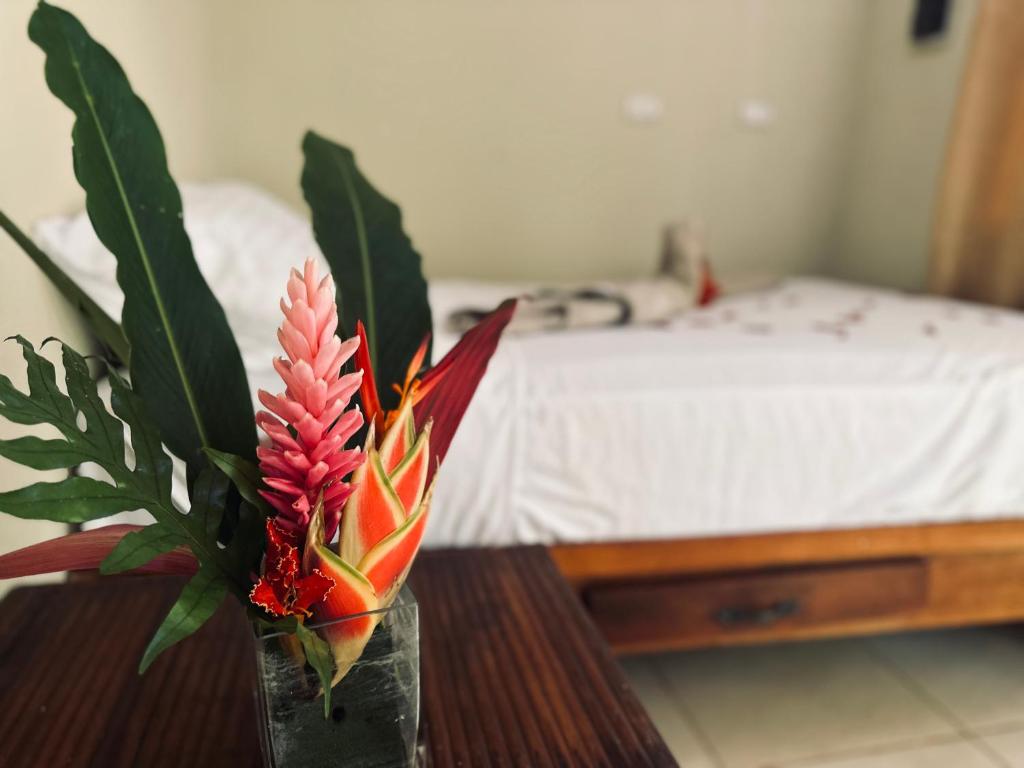 Fotografie z fotogalerie ubytování Samana tropical v destinaci Santa Bárbara de Samaná