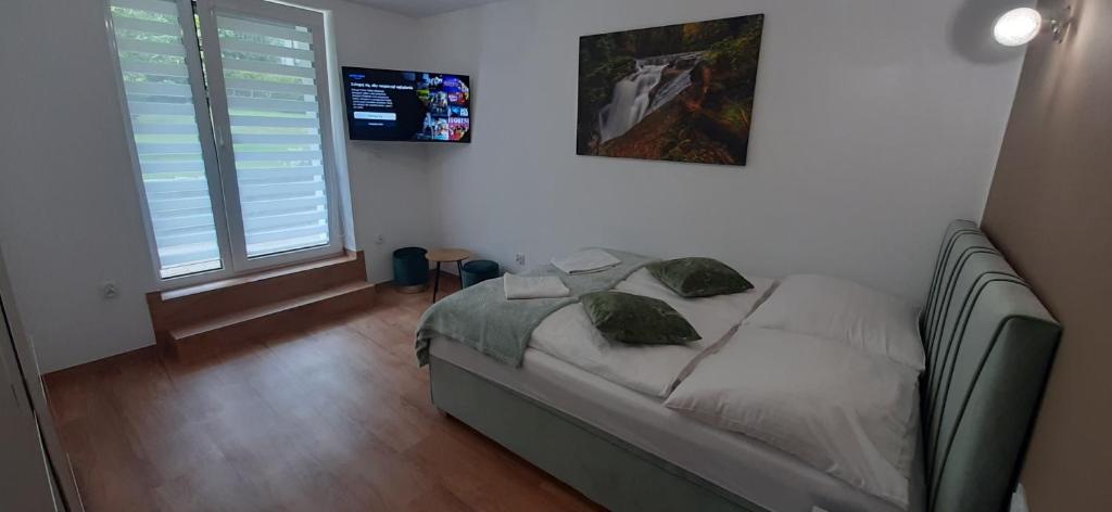 Postel nebo postele na pokoji v ubytování Willa Rosa-apartamenty z prywatną sauną