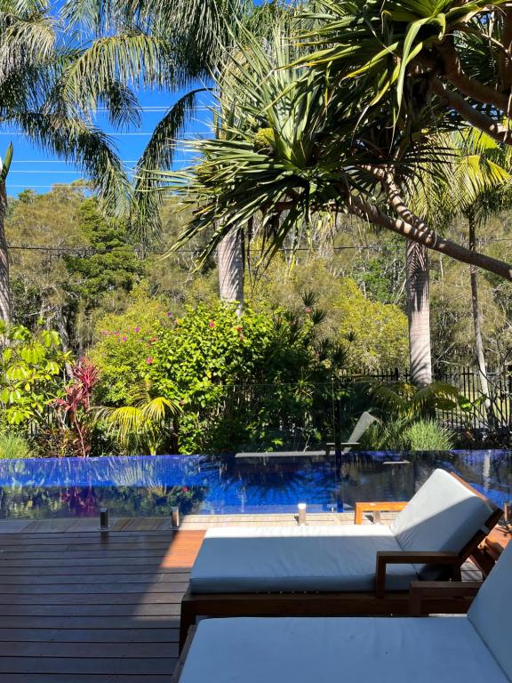 una piscina con chaise longue y palmeras en Away Guesthouse- Away on Shirley Lane en Byron Bay