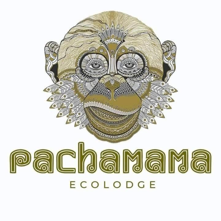 にあるPachamama Eco Lodgeの帽子をかぶった猿