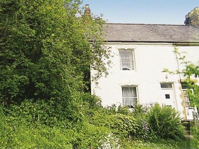 una casa bianca con finestre e cespugli di fronte di Tacker Street Cottage a Withycombe