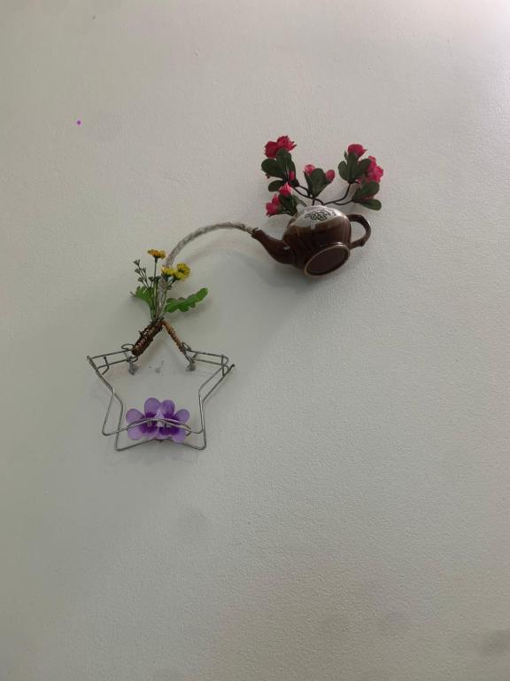 Tam Coc White Swan Homestay - 11