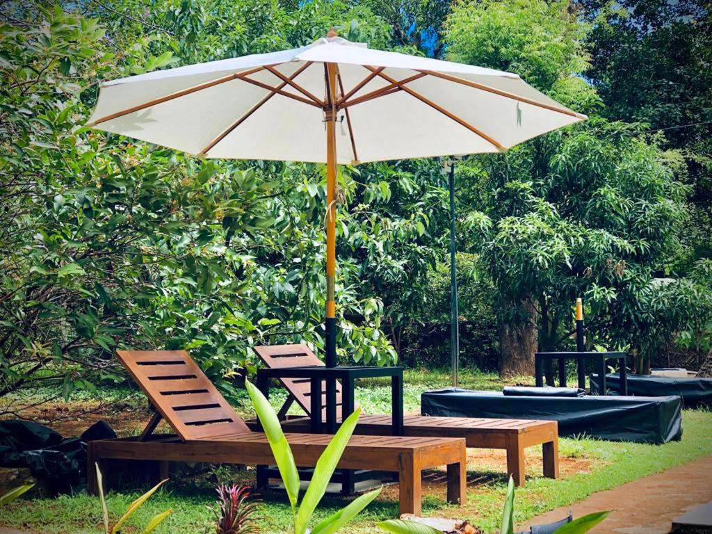 The Countryside Udawalawe - 7