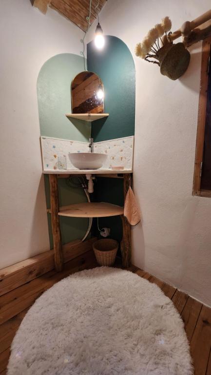 a bathroom with a sink and a mirror and a rug at maisonnette avec jardin et terrasse in Montdardier