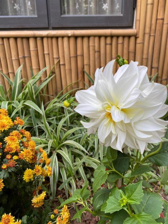 Trang An Moon Garden Homestay - 18