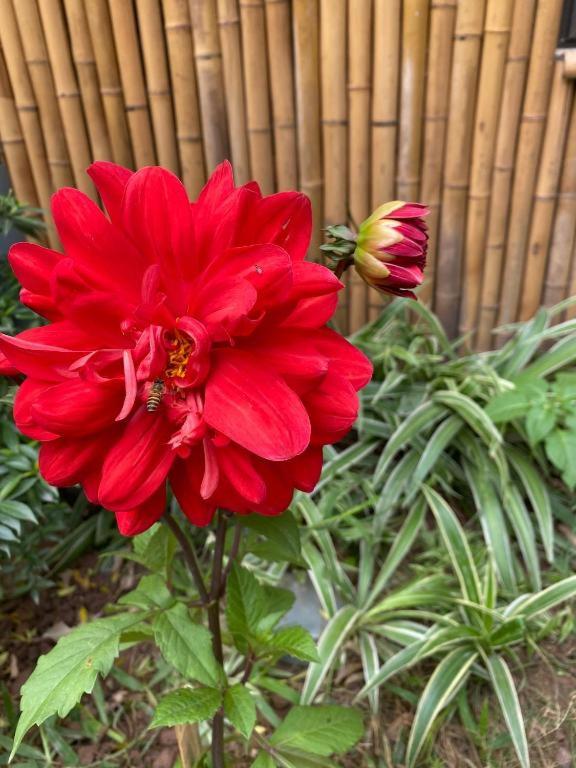 Trang An Moon Garden Homestay - 17