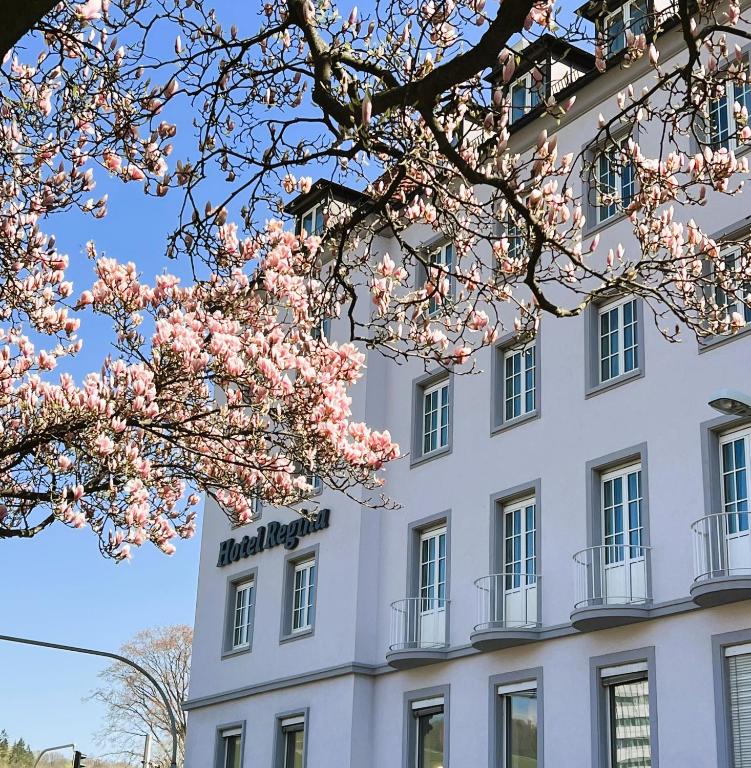 Hotel Regina