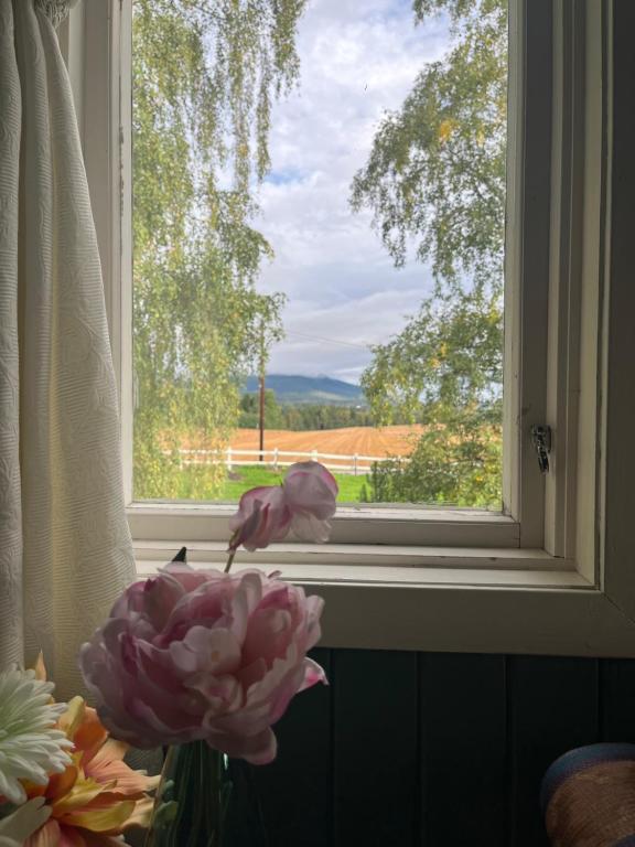 Visjon Gjestegård - Double Room With Shared Bathroom