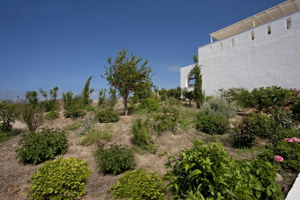 Vonkajšia záhrada v ubytovaní Naxos Kalimera Apartments