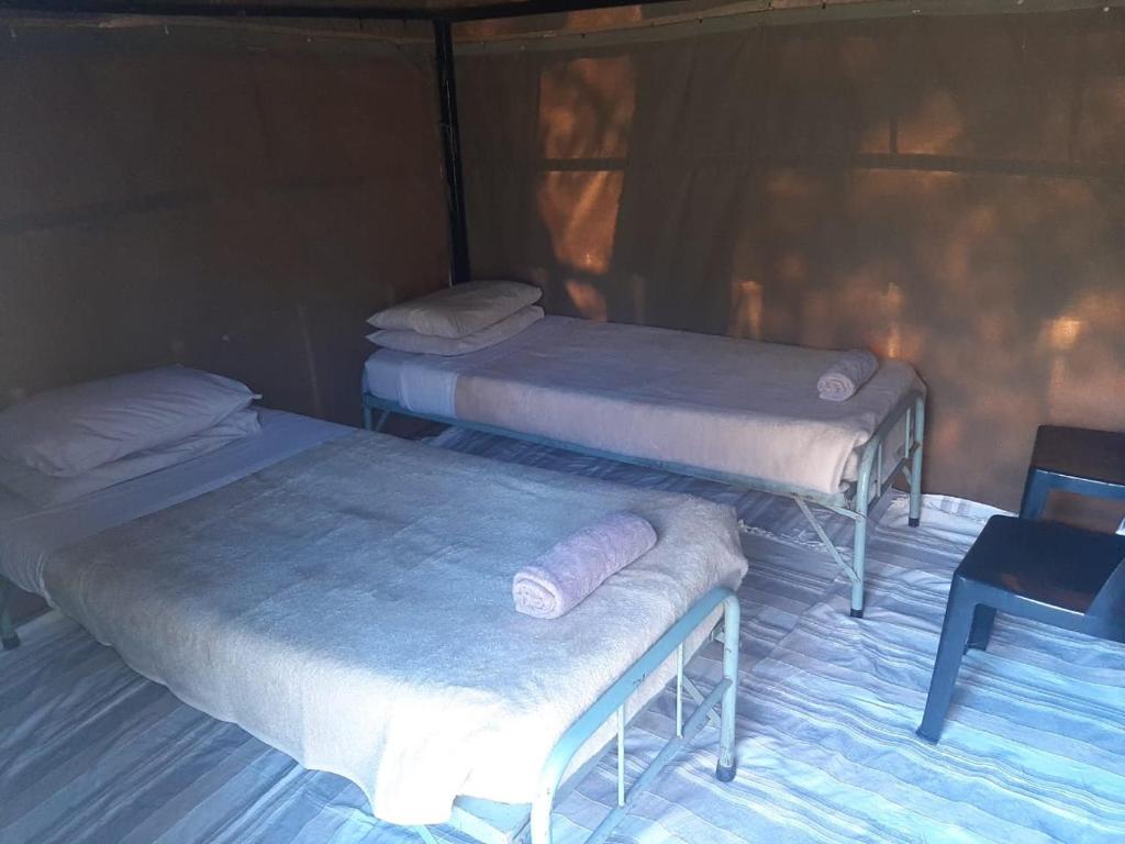 Matalatala Wildlife Lodge - Tent