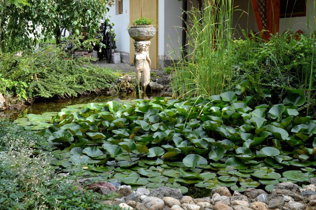 a pond with lily pads and a water fountain at Violetta Vendégház in Eger