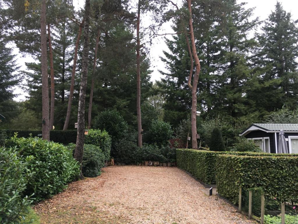 Zahrada ubytování Forest Family 6 persoons op 5 sterren park
