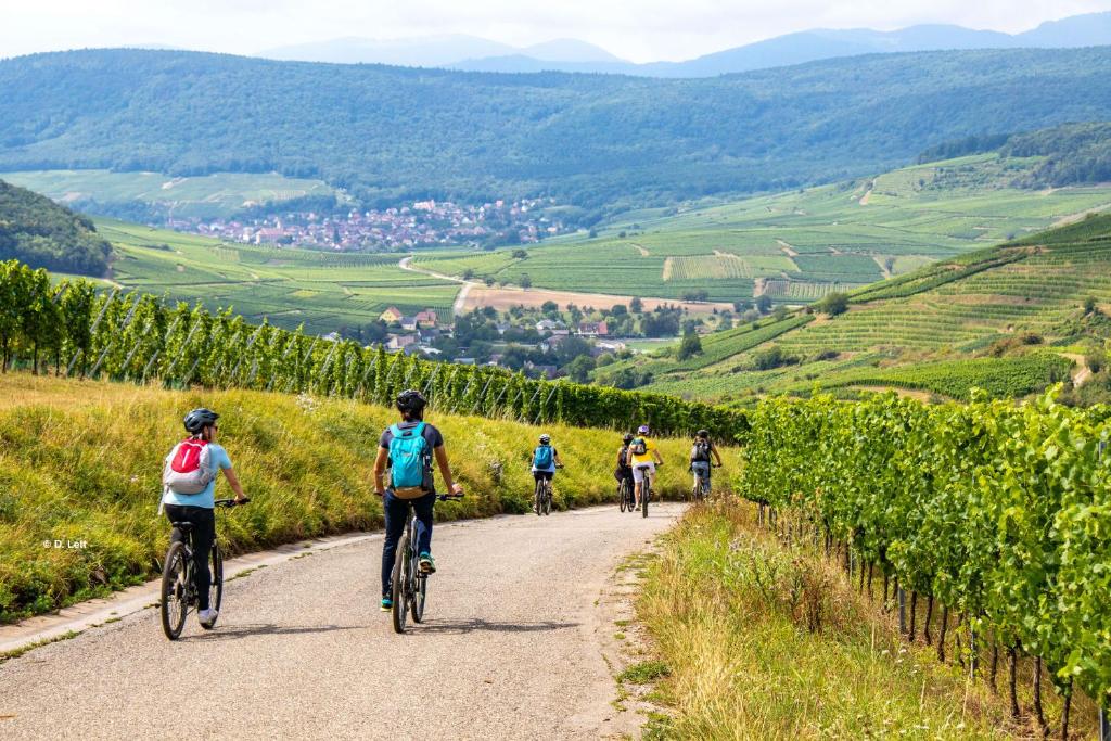 Domaine Bohème I art de vivre – photo 14