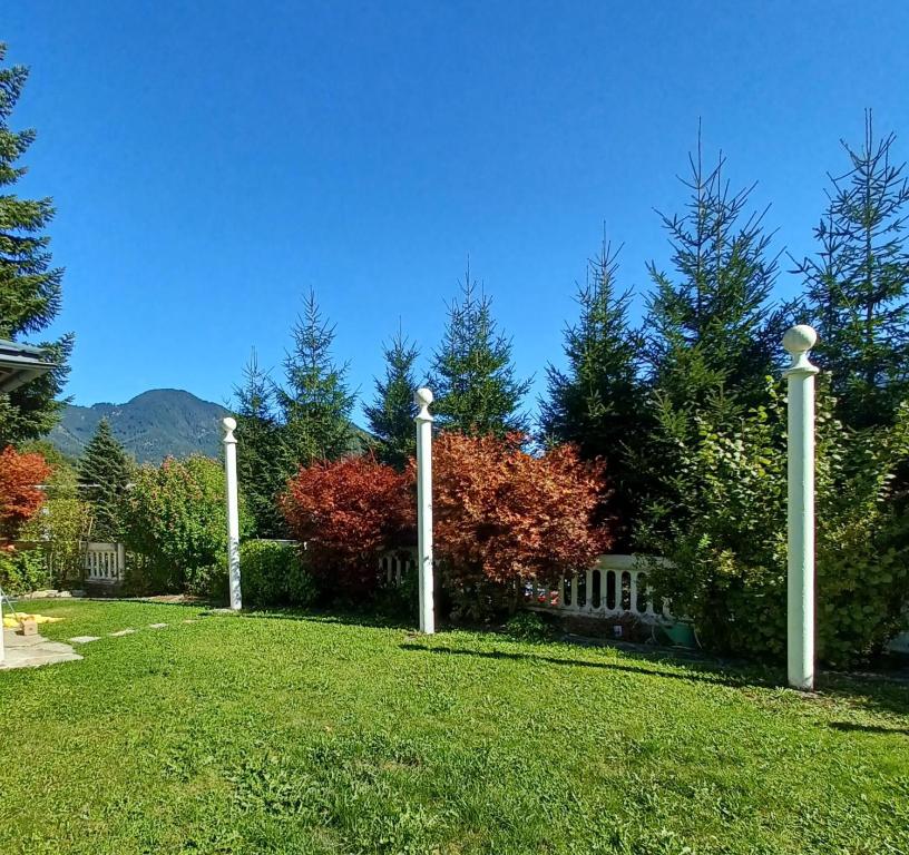 Villa Romy mit 3 Gästezimmer - 5