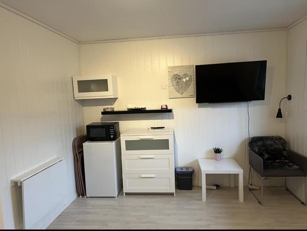 a room with a kitchen with a tv and a refrigerator at Vadlåsveien 4 in Egersund