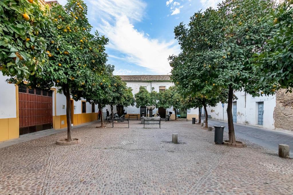 Fotografie z fotogalerie ubytování BHost - Regina VIII v destinaci Córdoba