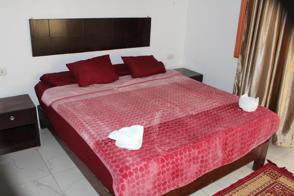 Nile View Guest House - 2