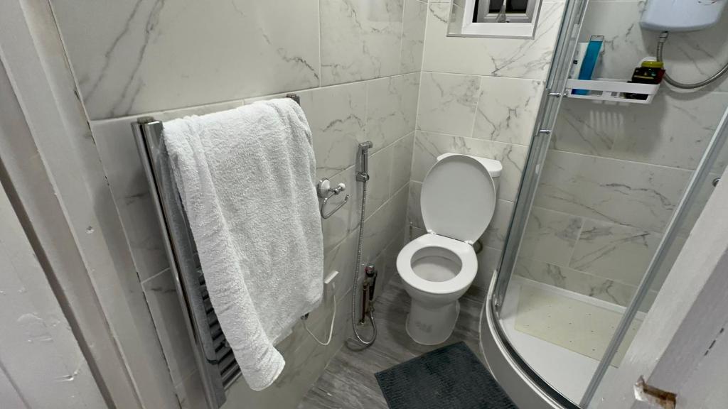 a bathroom with a white toilet and a shower at Bright and Spacious Entire One Bedroom Apartment with Living Room and Private Garden in London