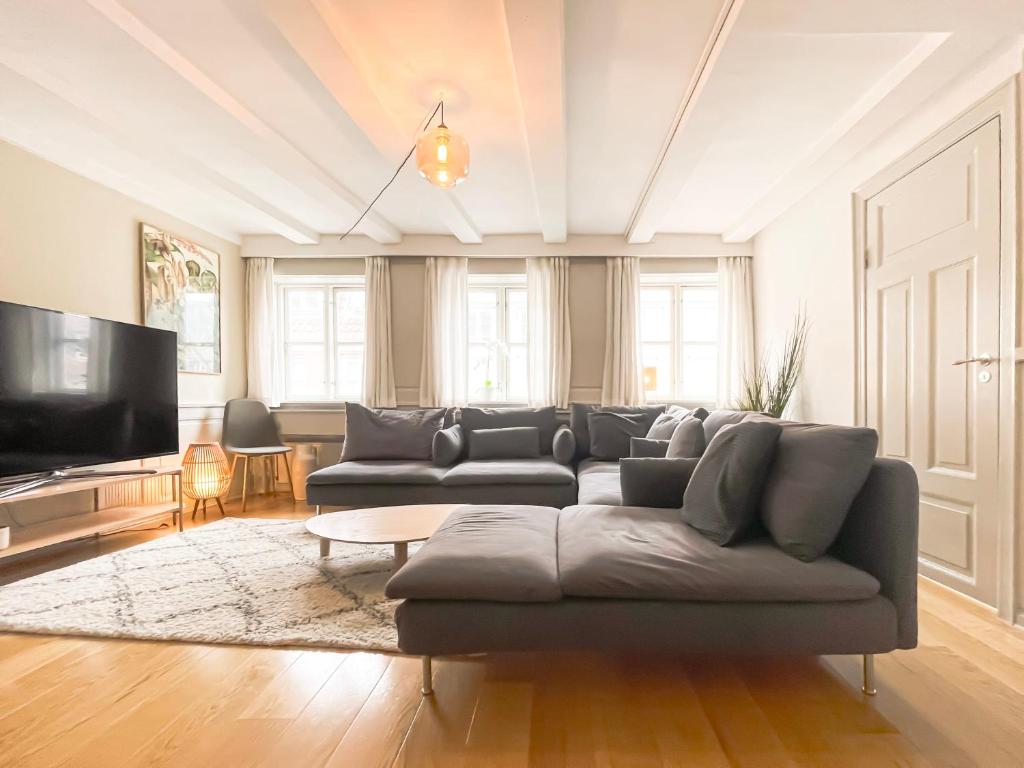 sala de estar con sofá y TV de pantalla plana en Family-Friendly Flat Near Tivoli Gardens en Copenhague