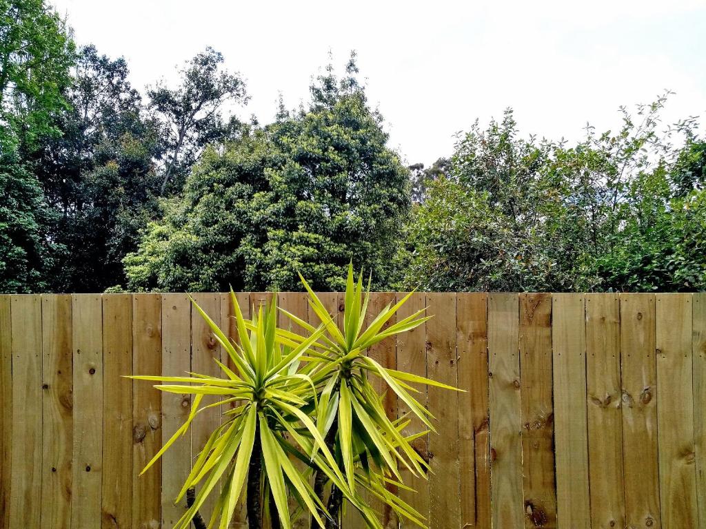 Large Family House - Resim 32