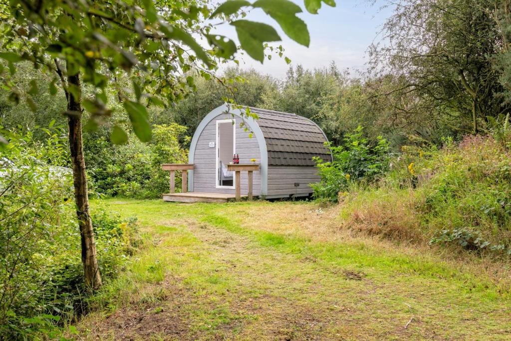 a small shed in the middle of a garden at Broom Leisure in Annan